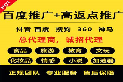百度平台推广策略及成功案例解析